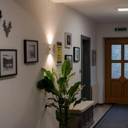 Апартаменты Zell Am View